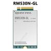 Модуль Quectel RM530N-GL 5G/4G/3G M.2, совместимый с RM50x