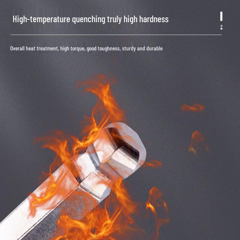 Berry Lion Ball-End Hex Key Wrench
