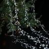 Artificial Fishing Line Pearls Chain Glitter Branch Garland Crystal Curtain  Birthday