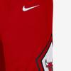 Nike Баскетбольные шорты мужские красные AJ9164-657