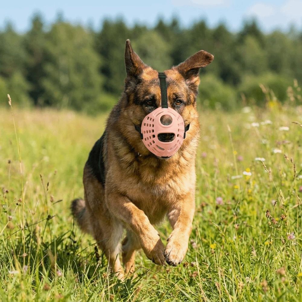 Anti-barking Anti Bite Dog Mouth Cover Adjustable Dog Mouth Guard Pet Muzzle Dog Accessories