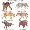 Oenux 6pcs Classic Australian Africa Wild Animals Kangaroos Koala Cassowary Hyena Warthog Model Action Figure Figurine Toy Kid
