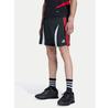 Спортивные шорты adidas adicolor Teamgeist