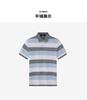 Collar Pineapple Flower Striped Short-sleeved T-shirt