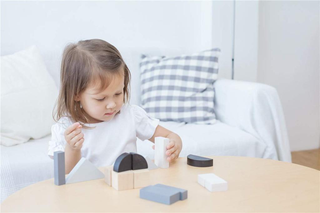 PLANTOYS JAPAN 5371 Блок с дробями