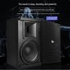Professional Full-Range Audio Speaker System PC-610