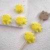 Colorful Fish Ceramic Beads Kawaii Loose Beads Fun Tropical Spacer Beads  Bracelet