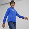 Puma Active Sports Fz Tr Sweatshirt 67629147 R 116
