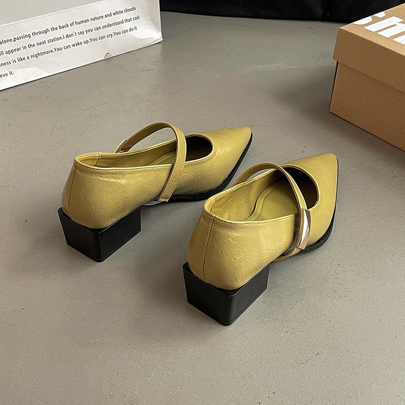 Shallow mouth word with pointed thick heel high heels spring and summer French medium heel Mary Jane shoes commuter women's shoes