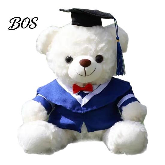 Luxury Gift Packaging Bear Personalized Graduation Gifts 2026 for Her, Cute Teddy with Embroidered Gown Award And Cap, Soft Plush Mascot College High