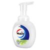 Walch Healthy Foaming Hand Soap