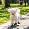 4PCS Adjustable Dog Mesh Shoes Waterproof Pet Paw Protector Portable Pet Boots  Outdoor Walking