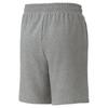 Boys' shorts Puma ACTIVE SPORTS TR gray 67320703 r 128