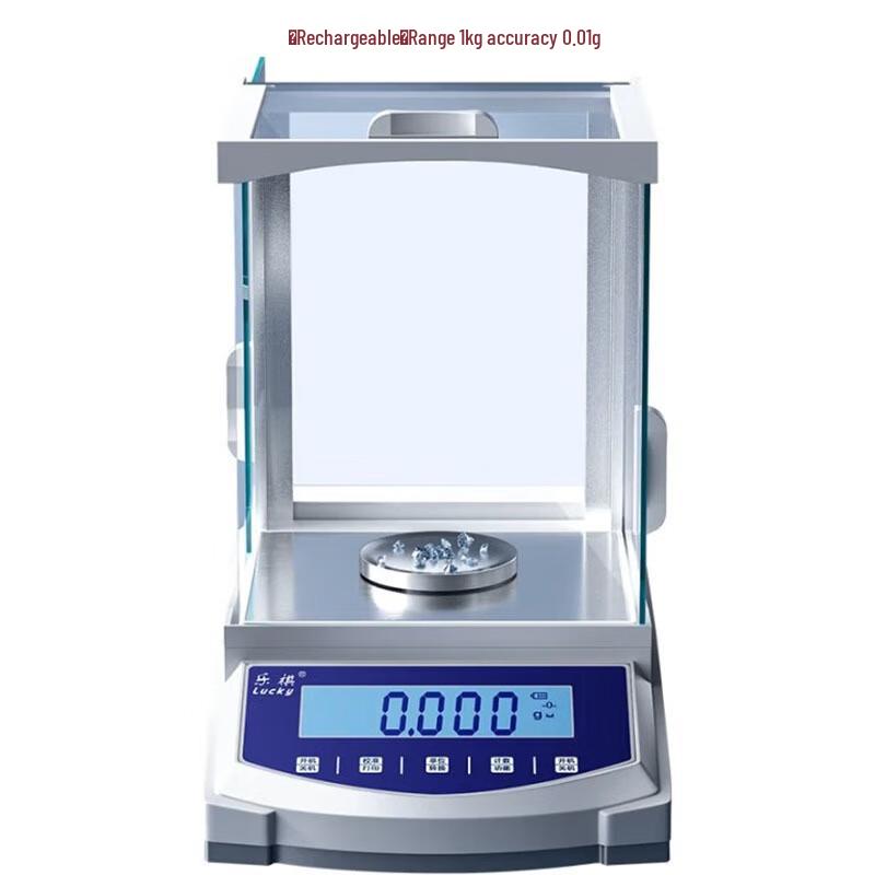 Precision Rechargeable Lab Analytical Balance (CN version)