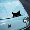 Cat Peeking Funny Sticker Self-Adhesive Car Styling Decoration Universal Bumper Sticker  Car