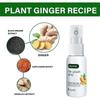 20ml Ginger Spray Regrowth Ginger Spray Fast Hair Growth Fluid Anti Loss Treatment Ginger Essence Prevent Hair Loss Regrowth Ginger Spray