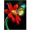 Full 5D Diy Diamond Painting Pollen Butterfly Embroidery Cross Stitch Home Decor Handmade Gift
