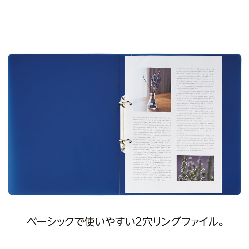 LIHIT LAB SOERU A4S Ring File, Smoke Black, 10-Pack, F8067-24_10