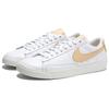 Nike Женские кроссовки Blazer Low Le Белый канвас Обувь для скейтбординга AV9370-117