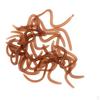 20Pcs/Box Smell Soft Worm Clam Worms Maggots Artificial Baits 9cm