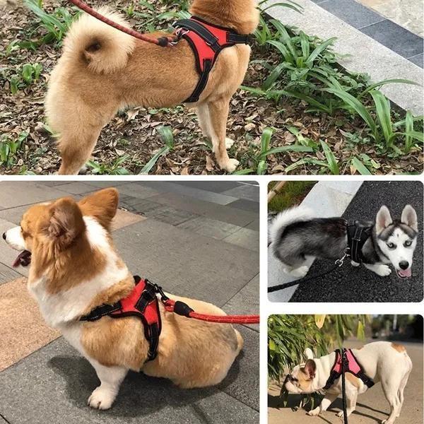 Регулируемая шлейка для собак, жилет для прогулок с питомцами для маленьких, средних и больших собак