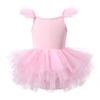 Girls Ballet Skirted Leotards Dance Dress Ballet Practice Dance Ballet Tutu Dress Kids Dancewear