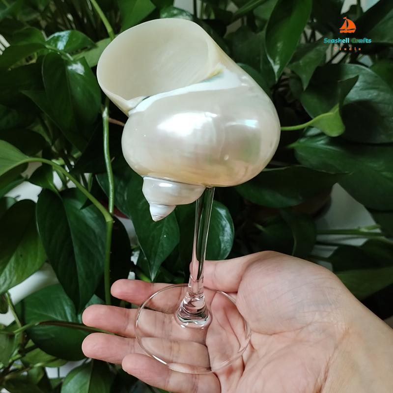 Natural Conch Shell Wine Glass Cup Handmade Wedding Glasses Martini Glasses Goblet Cocktail Drinkware Drinking Stemware Gifts