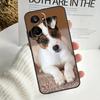 Dog Jack Russell Terrier For Realme 12 Pro Plus 11 10 9 C67 C55 C53 C35 C33 C30 C25s C21Y C15 GT3 GT5 GT Neo 5 Case