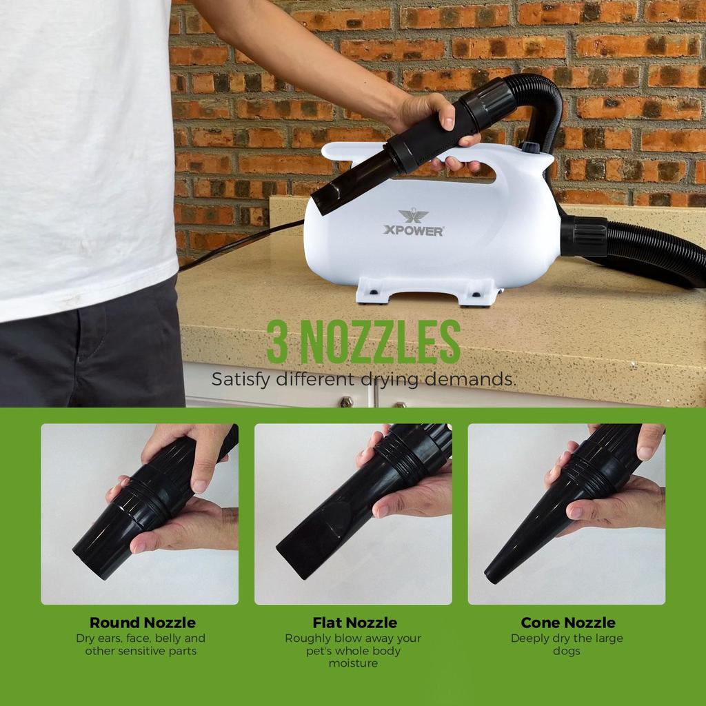 XPOWER B-163 Малошумный фен для домашних животных Комплект фена для шерсти домашних животных Горячий прибор Ленточный вентилятор Вилка ЕС