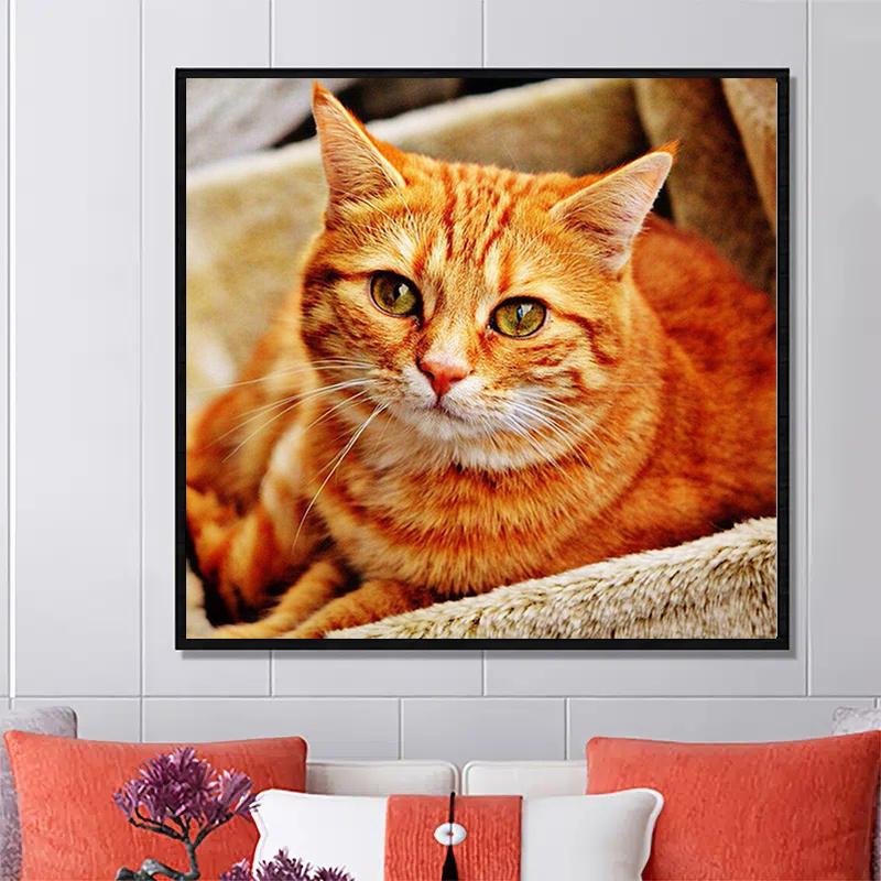 5D Diy Diamond Painting Cute Cat Diamond Embroidery Full Lay Anime Cross Stitch Kits Home Decor Handmade Gift