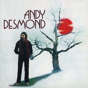 CD ANDY DESMOND Andy Desmond VSCD6009 Japan ObiRock Used