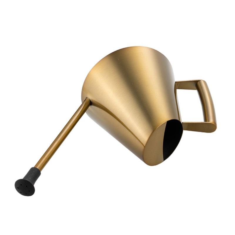 Маленькая лейка для комнатных растений Лейка с длинным носиком Внутренняя лейка для комнатных растений Цветы Суккуленты