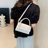 Crossbody Trendy Simple Summer Casual New Beautiful Women's Bag Personality Small Square Bag One-shoulder Handbag