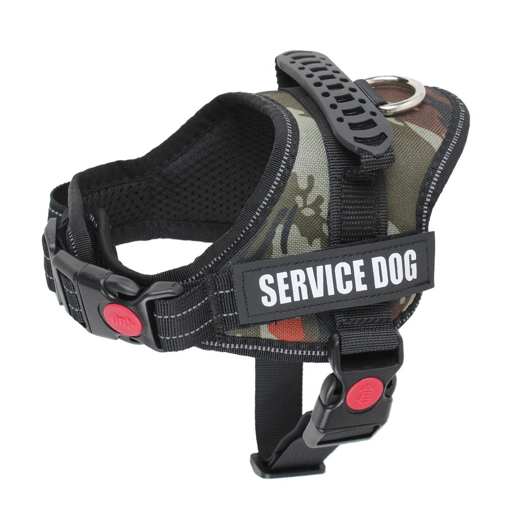 Милый ошейник-шлейка для щенка и котенка, светоотражающая шлейка-жилет для маленькой собаки, для прогулок на улице, защита от потери, корги, лабрадор, чихуахуа