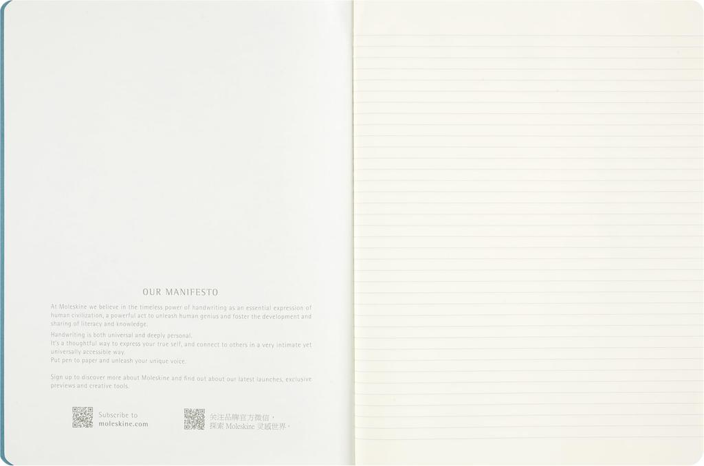 Набор из 3 блокнотов Moleskine Peanuts Cahier, формат XL (19см x 25см) LEPECH41ACBND