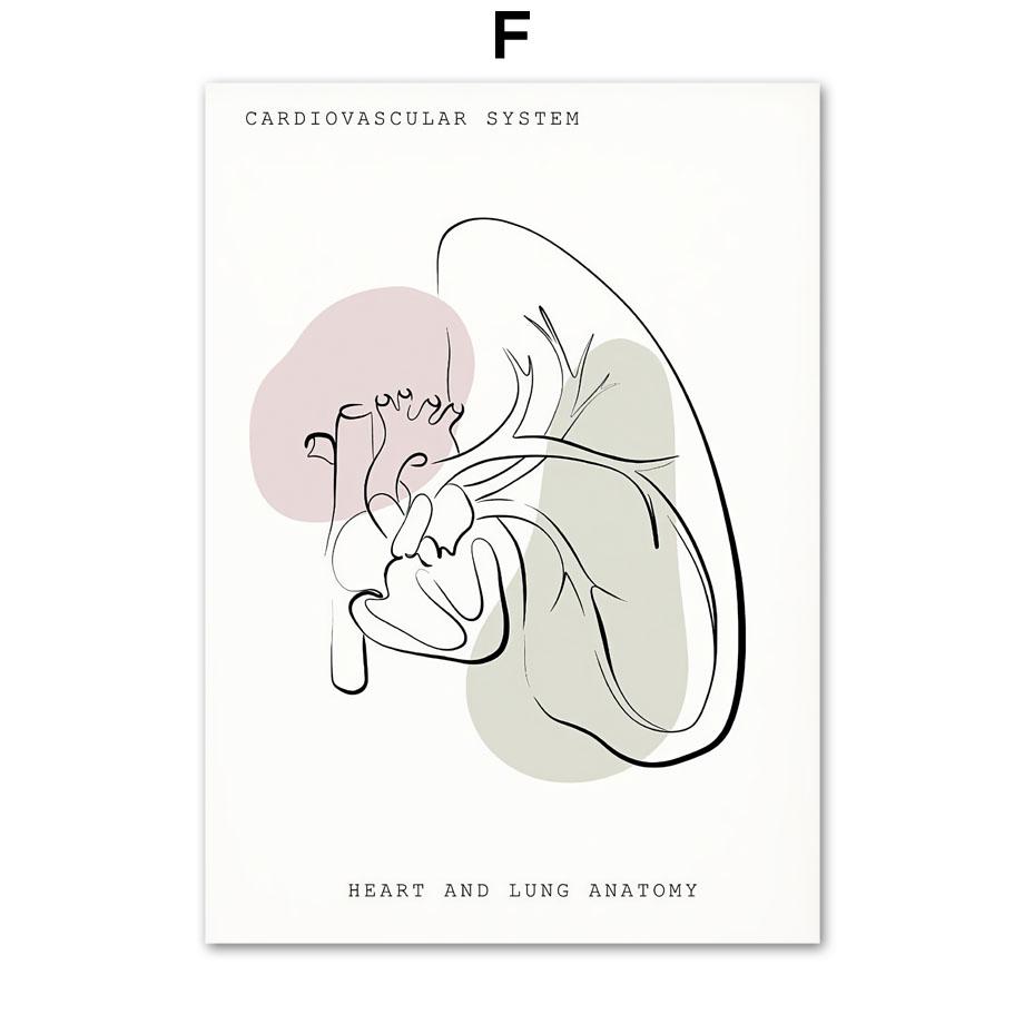 Минималистичный Красочный Анатомический Линия, медицинский плакат и принты, настенное искусство, ухо, гортань, сердце, холст, картина, доктор, подарок, декор для клиники