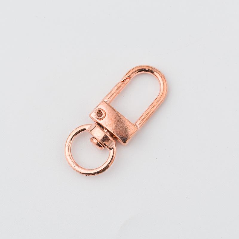 Colored Spray Paint Zinc Alloy Keychain Spring Clasp & Dog Buckle Jewelry Accessories