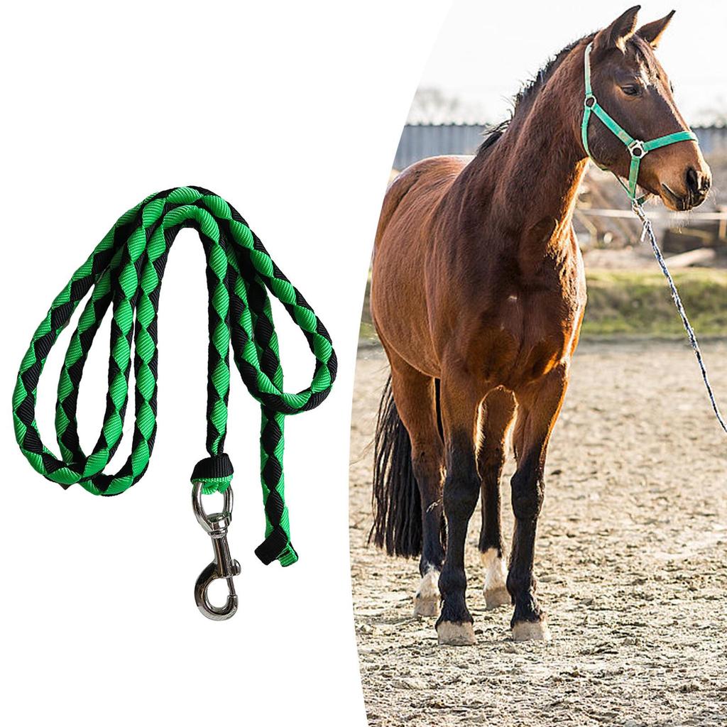Horse Lead Rope Braided Attaches To Halter or Harness Leads Cord with Bolt Snap