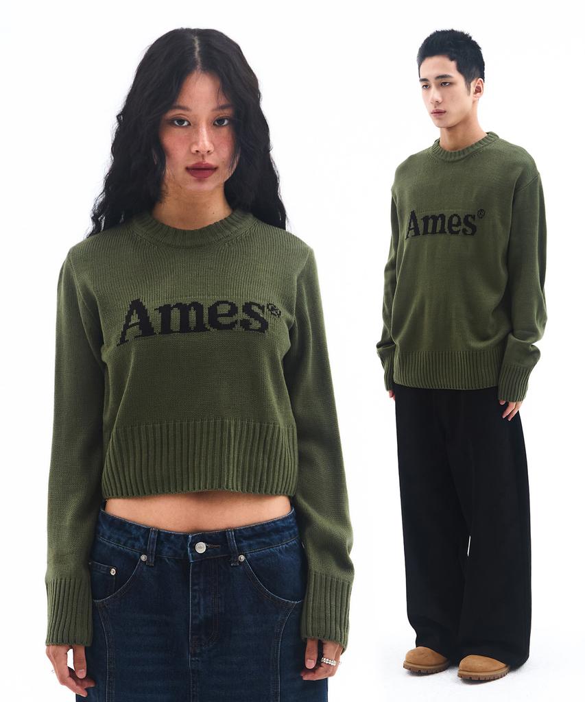 AMES-WORLDWIDE Basic Pullover Knit Khaki