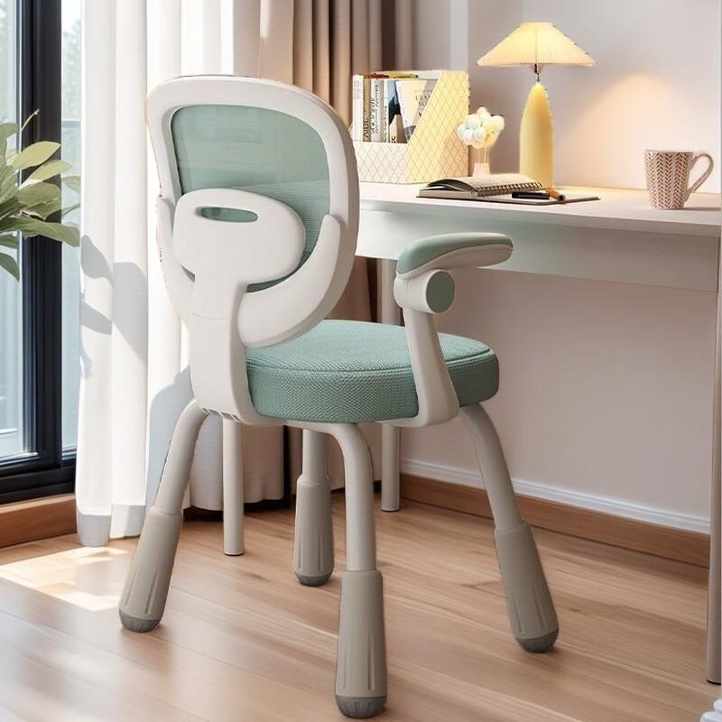 Children's Adjustable Ergonomic Study Chair