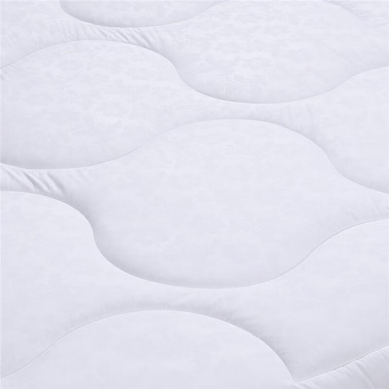 Fuanna Zhenya Warm Core Winter Quilt