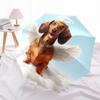 1pc Angel Dog in Heaven Umbrella with Plastic Handle,Suitable for All Seasons Home Travel Outdoor UmbrellaDD1754