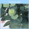 Artificial Eucalyptus Greenery For Wedding Bouquets Home Styling Decorative Accents
