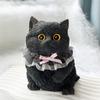 Cute Cat Soft Squeeze Toys Silicone Cat Pinching Toy New Stress Relief Toy  for Adults Kids