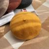 Элегантный и модный однотонный шерстяной толстый берет зимняя шапка для путешествий и покупок теплая винтажная шляпа художника и родителя-ребенка
