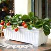 Indoor Rectangular Flowerpot Vegetable Growing Large Deformed Capacity Not Easily Box Vegetable Herb Planter