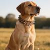 Anti-bite Spiked Dog Collars Adjustable Heavy Duty PU Leather Pet Necklace Anti-Chew Widen Dog Neck Collar Outdoor Dog Walking