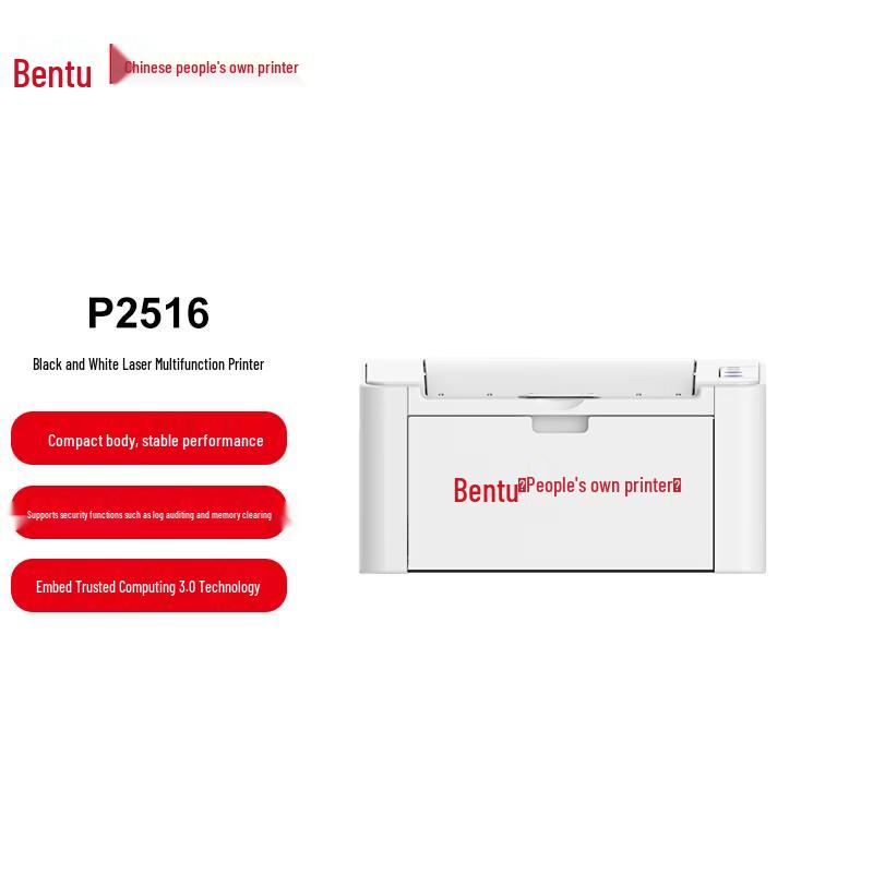 Pantum P2516 A4 Двусторонний Черно-белый Лазерный Принтер CN вилка (адаптер в комплекте)