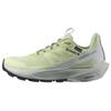 Elixir Activ GORE-TEX Celadon Green женские кроссовки Glacier-Grey Phantom L47456300
