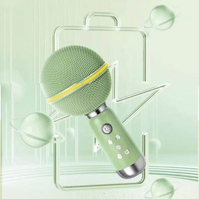 Elvis Radio M-X3 Microphone Speaker CN plug (adapter included)